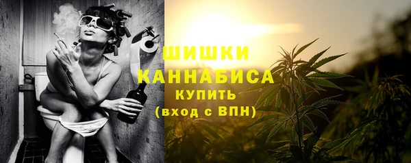 PSILOCYBIN Белокуриха