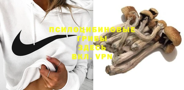 крисы Белоозёрский