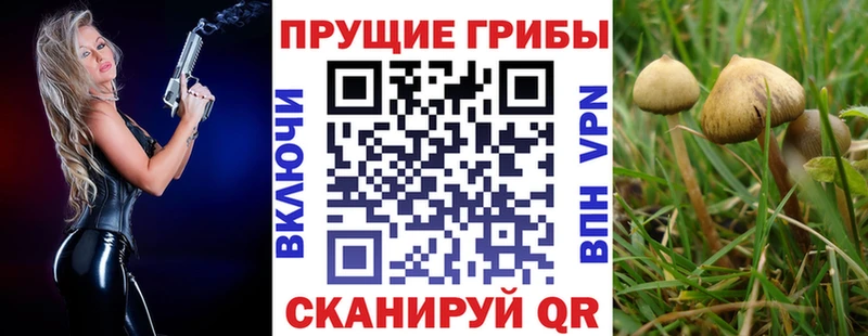 Псилоцибиновые грибы Magic Shrooms  купить наркотик  маркетплейс какой сайт  Краснослободск 